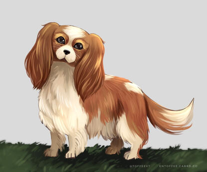 Semirealistic Fullbody