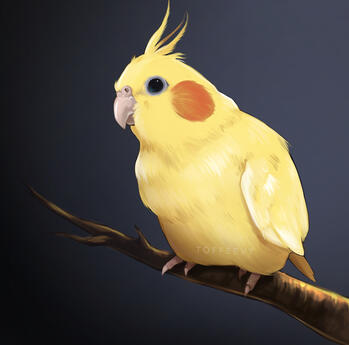 Semirealistic Fullbody